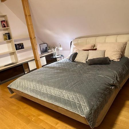 Villa Haskova With 3 Bedrooms Banska Bystrica Exterior photo