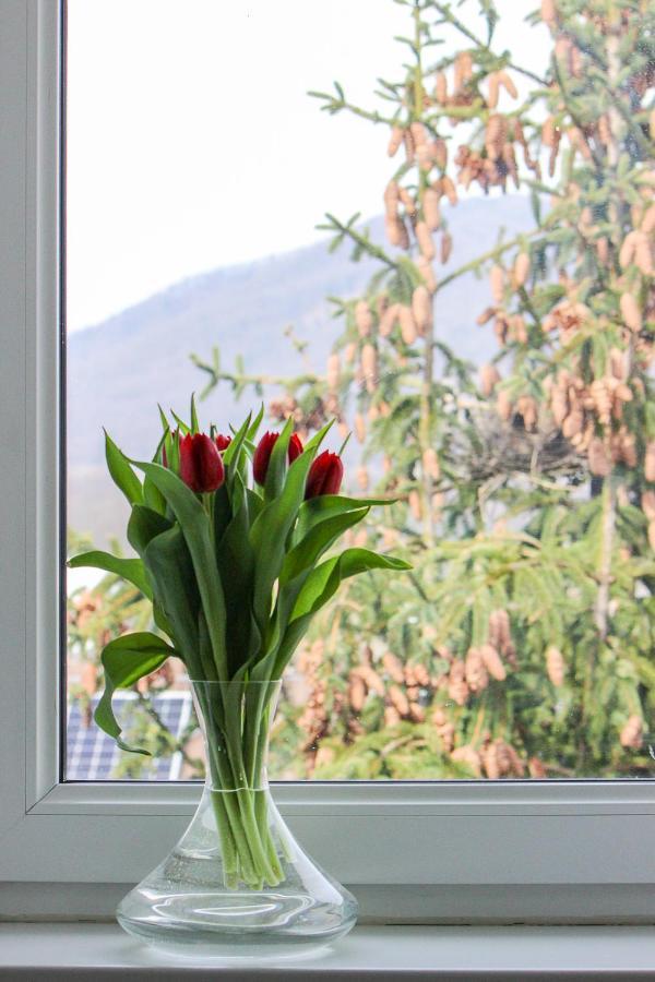 Villa Haskova With 3 Bedrooms Banska Bystrica Exterior photo